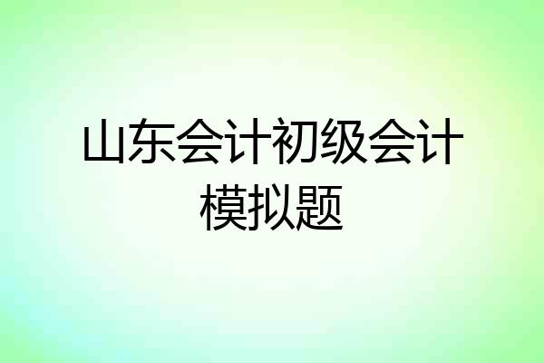 山东会计初级会计模拟题