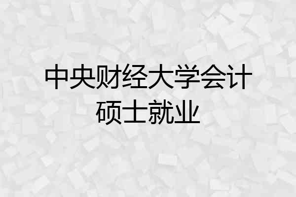 中央财经大学会计硕士就业