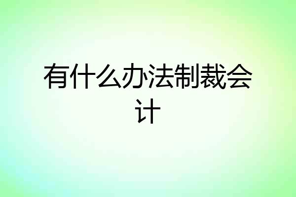 有什么办法制裁会计