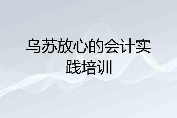 乌苏放心的会计实践培训