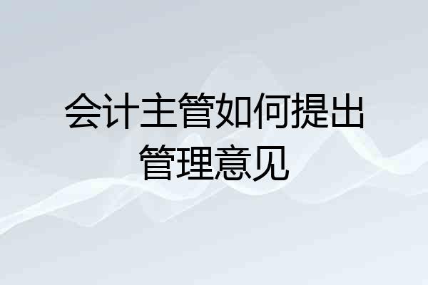会计主管如何提出管理意见