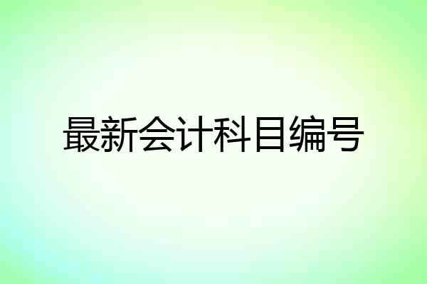 最新会计科目编号