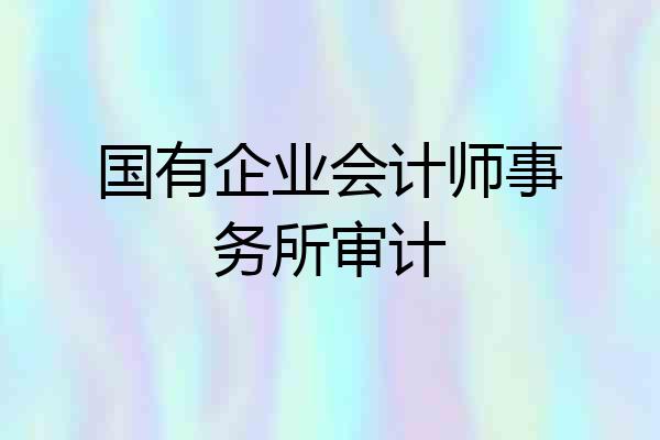 国有企业会计师事务所审计
