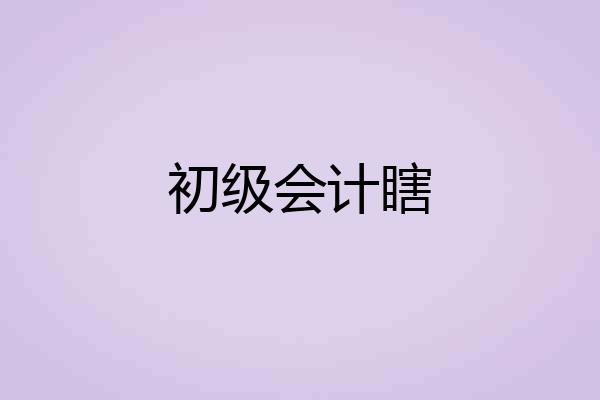 初级会计瞎