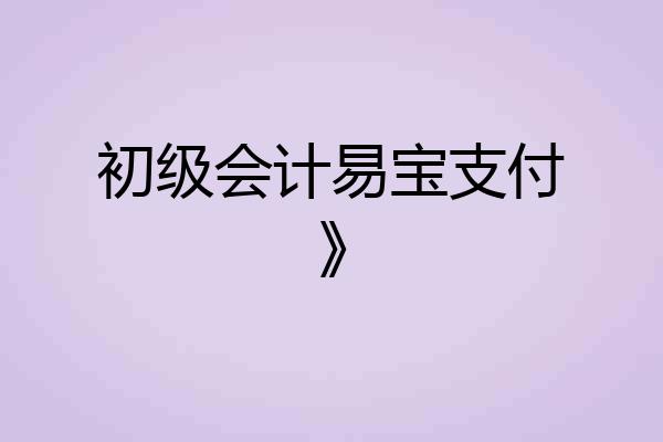 初级会计易宝支付》