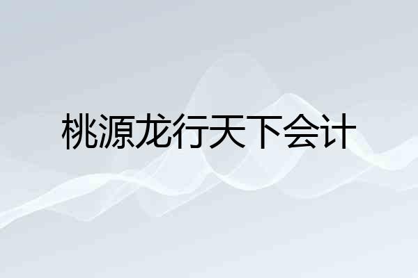 桃源龙行天下会计