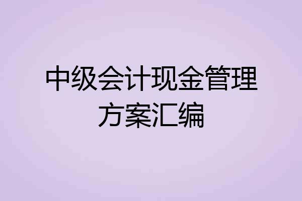 中级会计现金管理方案汇编