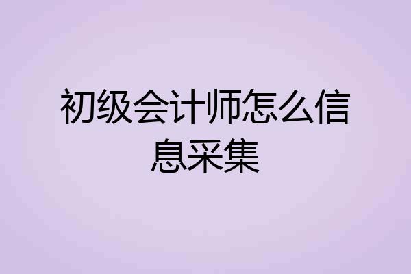 初级会计师怎么信息采集