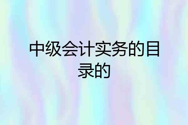 中级会计实务的目录的