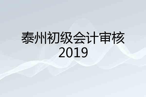 泰州初级会计审核2019