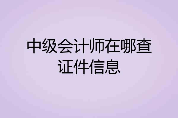 中级会计师在哪查证件信息