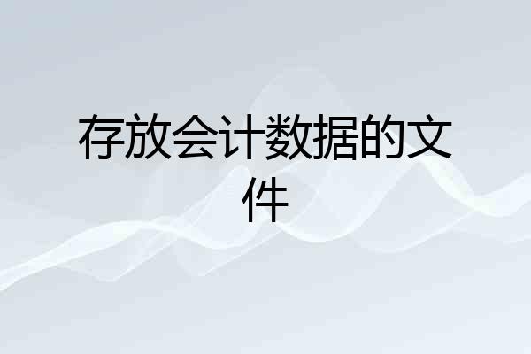 存放会计数据的文件