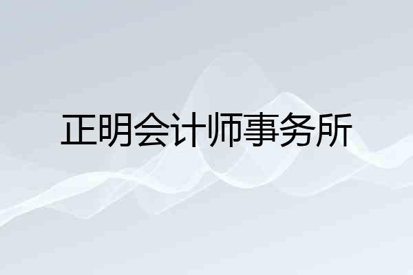 正明会计师事务所