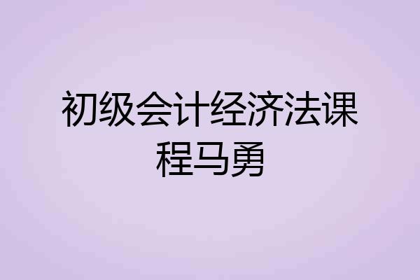初级会计经济法课程马勇