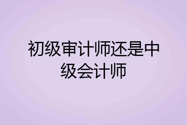 初级审计师还是中级会计师