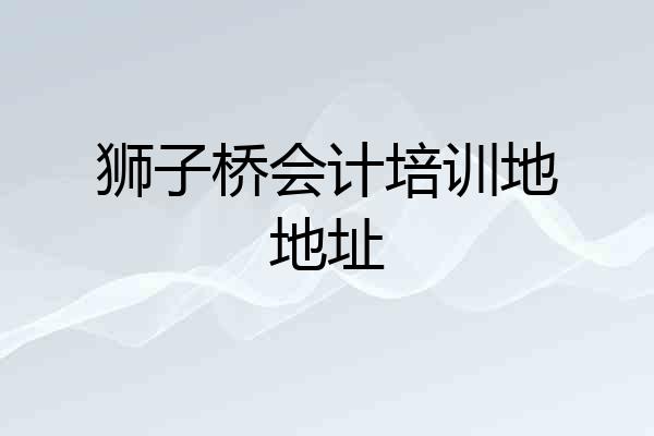 狮子桥会计培训地地址