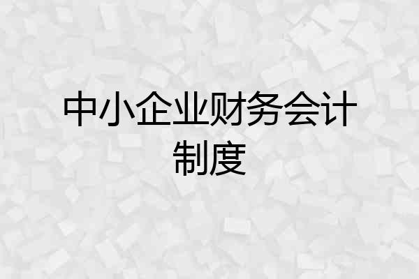中小企业财务会计制度