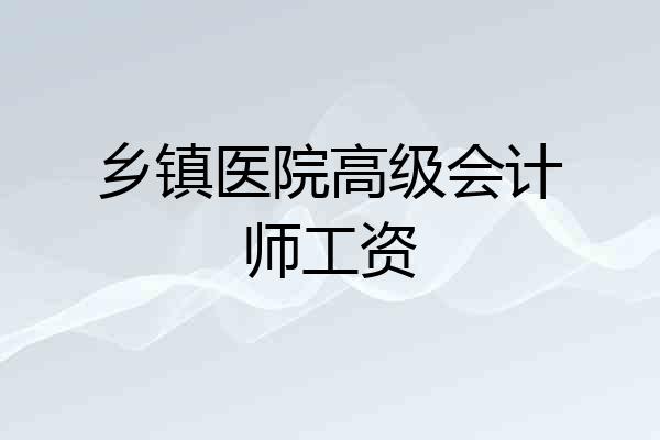 乡镇医院高级会计师工资