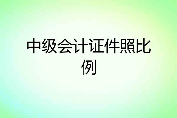 中级会计证件照比例