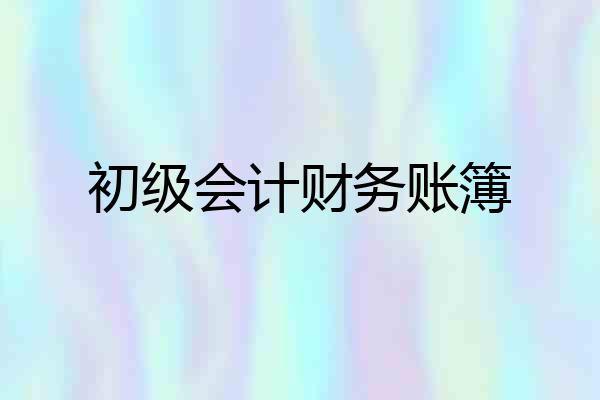 初级会计财务账簿