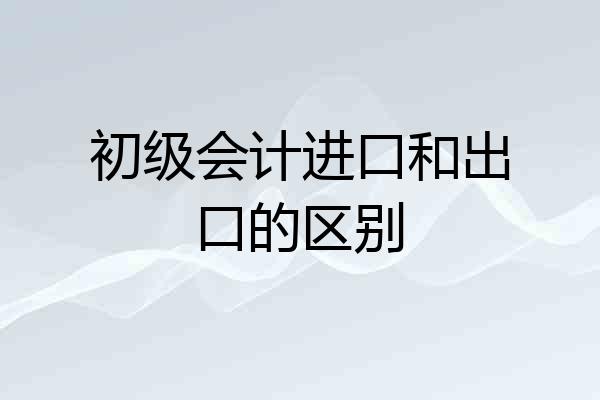 初级会计进口和出口的区别