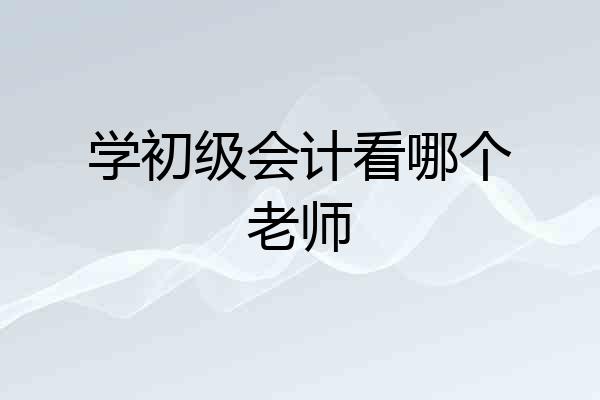学初级会计看哪个老师