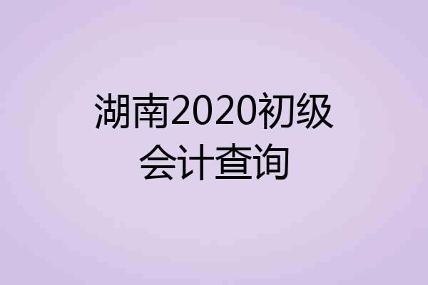 湖南2020初级会计查询
