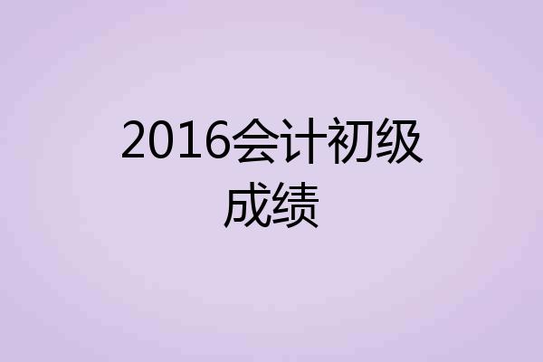 2016会计初级成绩