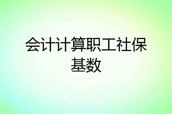 会计计算职工社保基数