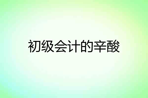 初级会计的辛酸