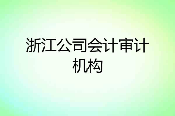 浙江公司会计审计机构