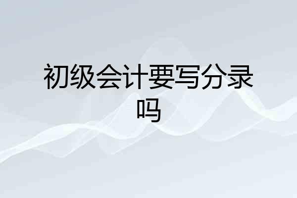 初级会计要写分录吗