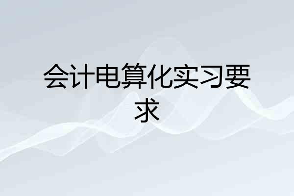 会计电算化实习要求