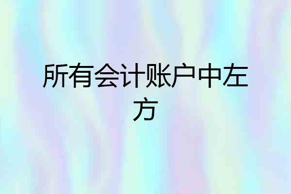 所有会计账户中左方