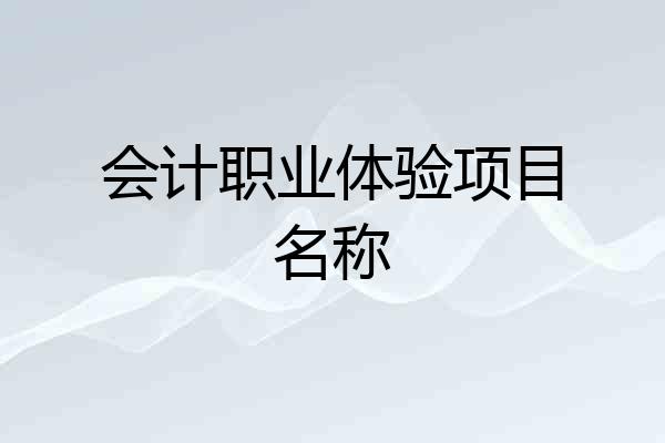 会计职业体验项目名称