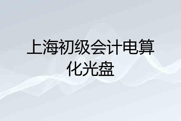 上海初级会计电算化光盘