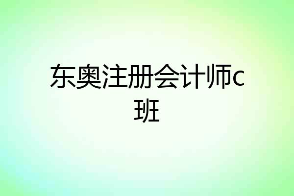 东奥注册会计师c班