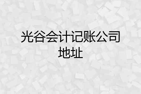 光谷会计记账公司地址