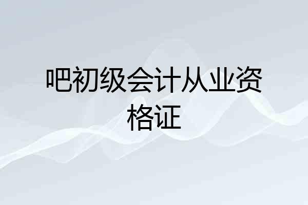 吧初级会计从业资格证