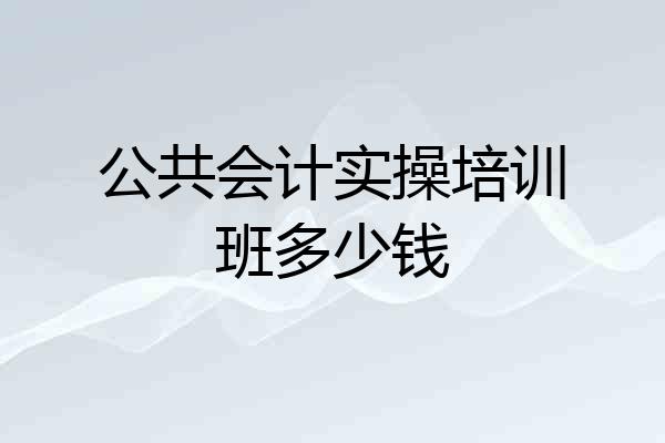 公共会计实操培训班多少钱