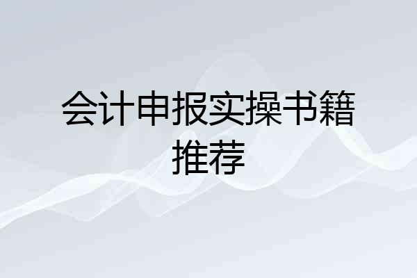 会计申报实操书籍推荐