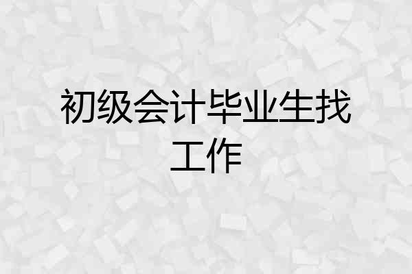 初级会计毕业生找工作