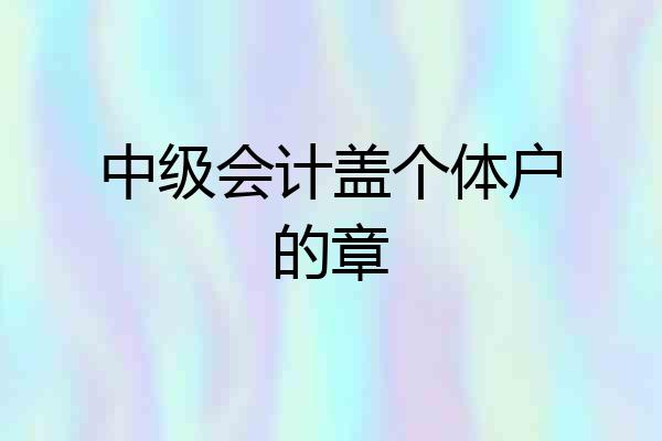 中级会计盖个体户的章