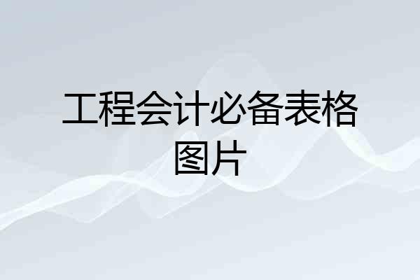 工程会计必备表格图片