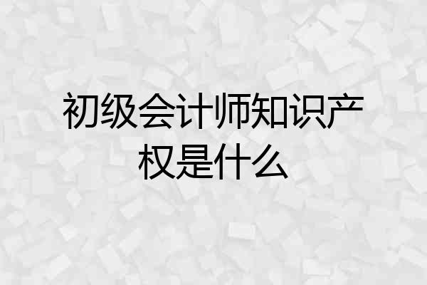 初级会计师知识产权是什么