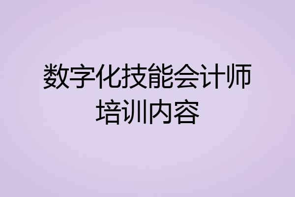 数字化技能会计师培训内容