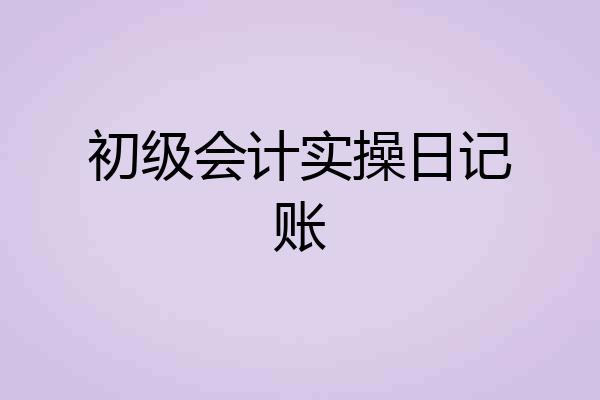 初级会计实操日记账