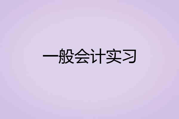 一般会计实习