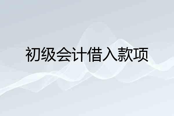 初级会计借入款项