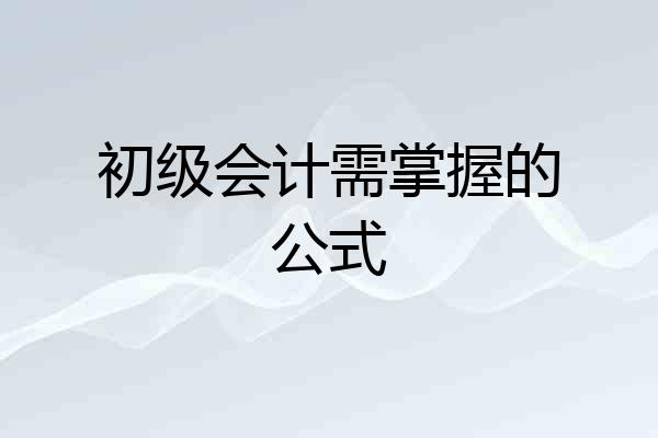 初级会计需掌握的公式